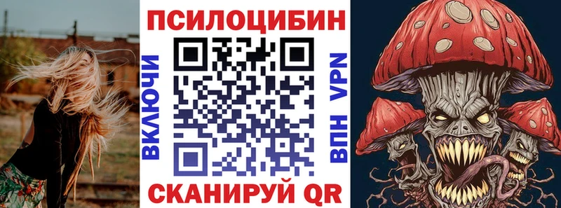 купить наркоту  Удомля  ссылка на мегу зеркало  Галлюциногенные грибы Magic Shrooms 