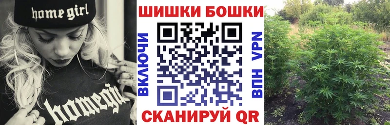 Бошки Шишки план  наркота  гидра как войти  Удомля 